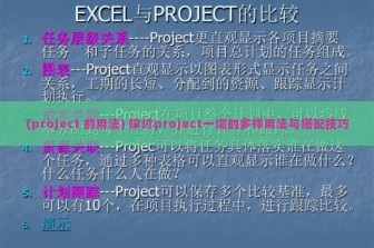 (project 的用法) 探讨project一词的多样用法与搭配技巧