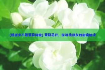 (桃源乡不苦茉莉网盘) 茉莉花开，探寻桃源乡的甜蜜秘诀