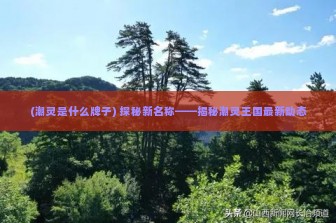 (潮灵是什么牌子) 探秘新名称——揭秘潮灵王国最新动态