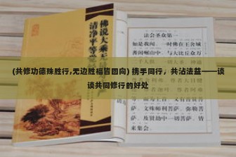 (共修功德殊胜行,无边胜福皆回向) 携手同行，共沾法益——谈谈共同修行的好处